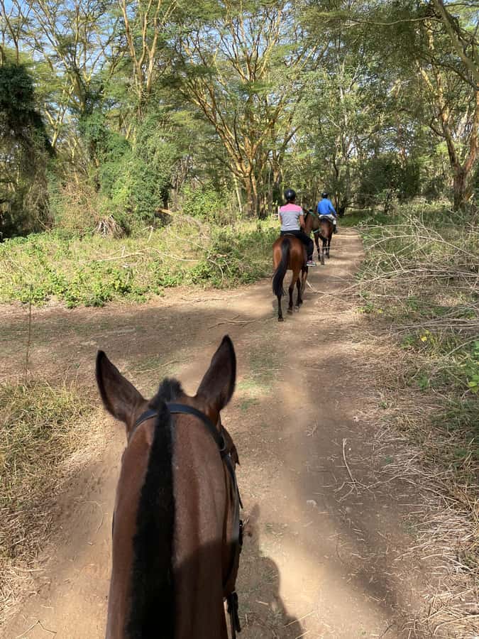 Nairobi: Karura Forest Horseback Riding Tour - Key points before you saddle up