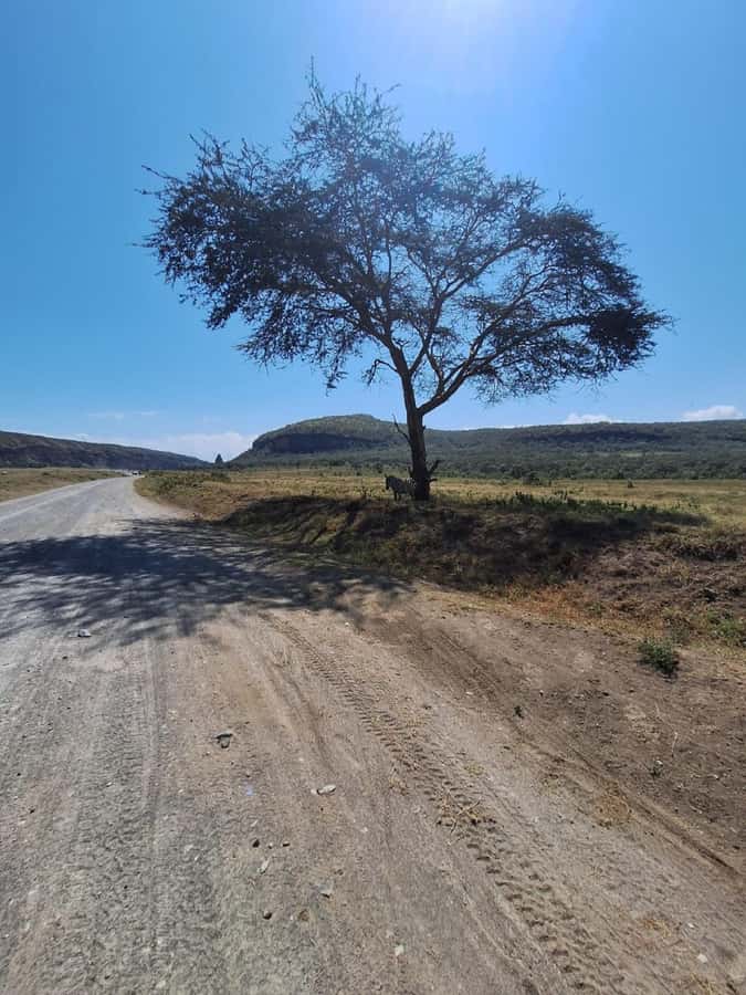Nairobi: Lake Naivasha & Hell’s Gate National Park Day Trip - Should you book the Lake Naivasha and Hell’s Gate day trip?