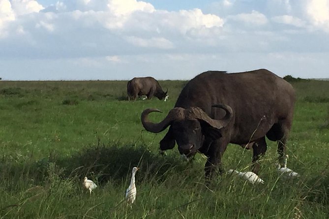 Nairobi layover - How to handle the timing