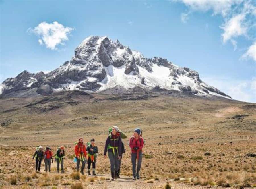 Nairobi: Mount Kenya Day Hike with Lunch - Key points to know before booking