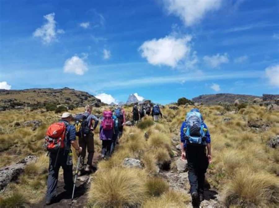 Nairobi: Mount Kenya Day Hike with Lunch - Reaching Naro Moru Gate and the Met Station