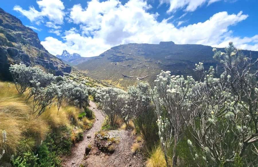 Nairobi: Mount Kenya Day Hike with Lunch - The climb toward Old Moses Camp