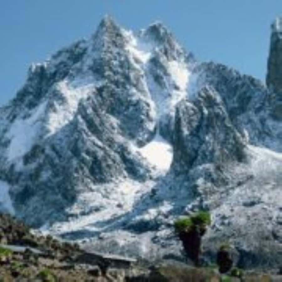 Nairobi: Mount Kenya Day Hike with Lunch - Picnic lunch at high altitude