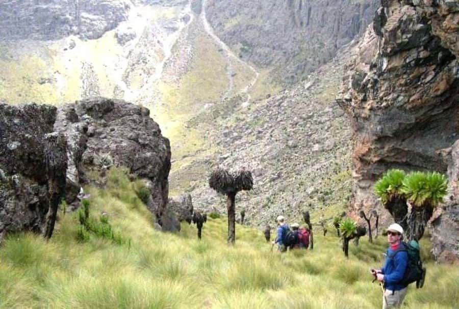 Nairobi: Mount Kenya Day Hike with Lunch - The descent and drive back to Nairobi