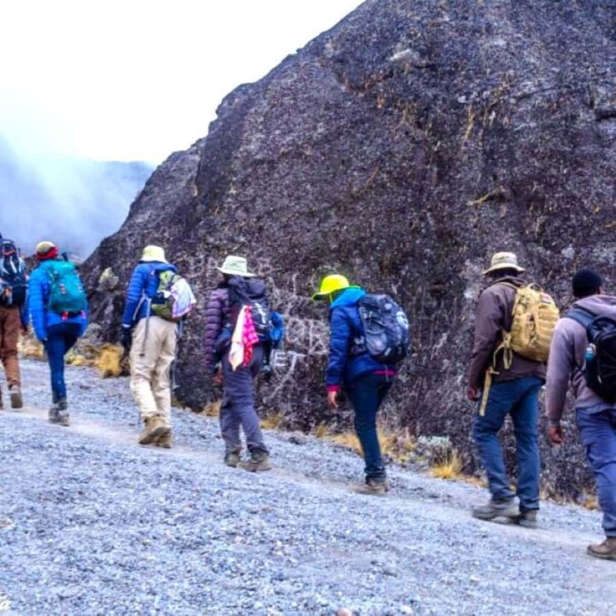 Nairobi: Mount Kenya Day Hike with Lunch - What the $304 price really covers