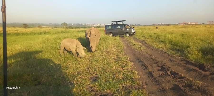 Nairobi:Nairobi national park,David sheldrick,GiraffeCenter - Conservation value beyond the photographs