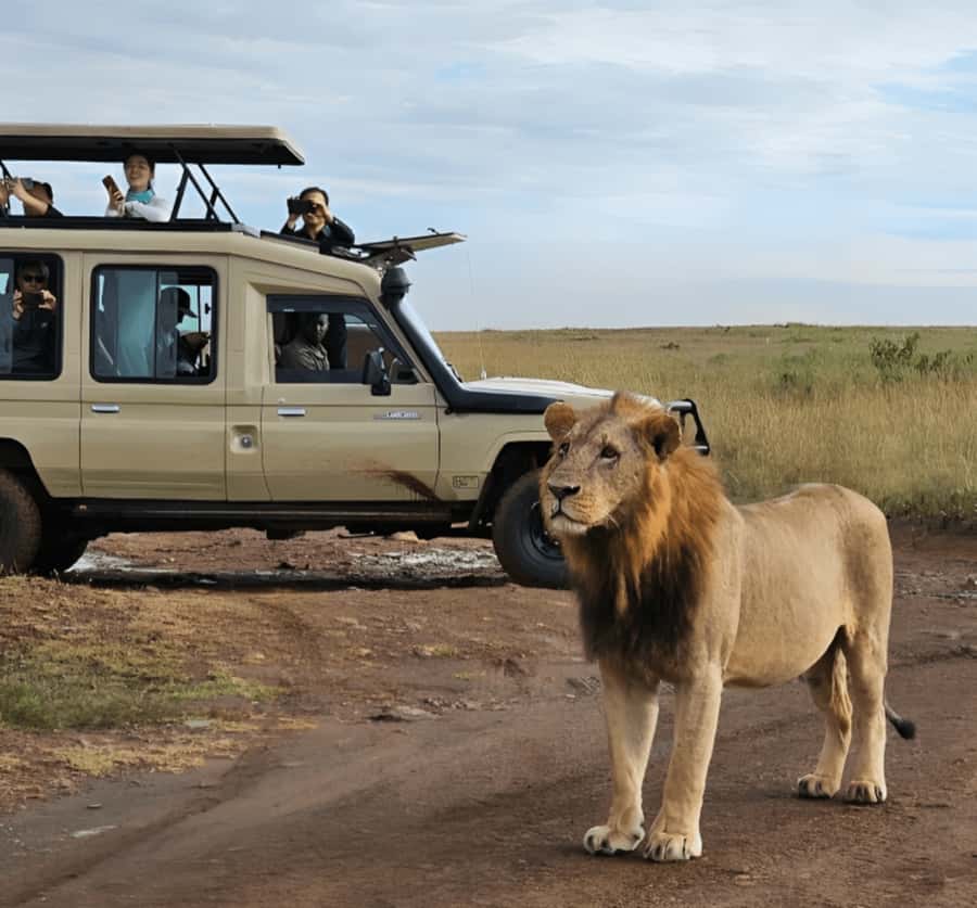 Nairobi: Nairobi National Park Half-Day Game Drive - Key Points Before You Book