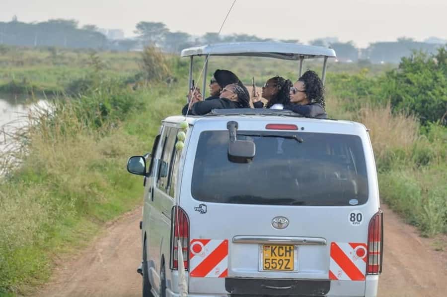 Nairobi: Nairobi National Park Half-Day Game Drive - A Safari With Nairobi in the Background