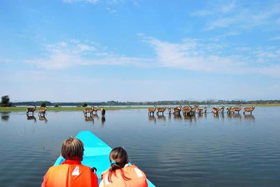 Nairobi: Nakuru National Park and Lake Naivasha Day Tour - Switching from safari van to boat at Lake Naivasha