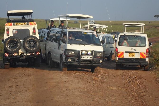 Nairobi National Park 1.p.m Game Drive - Why Nairobi National Park makes sense on a short visit