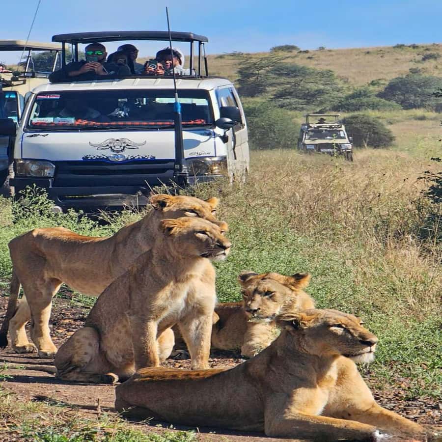 Nairobi National Park 5-hour Guided Game Drive Free Pick up - Why Nairobi National Park works so well for a short visit