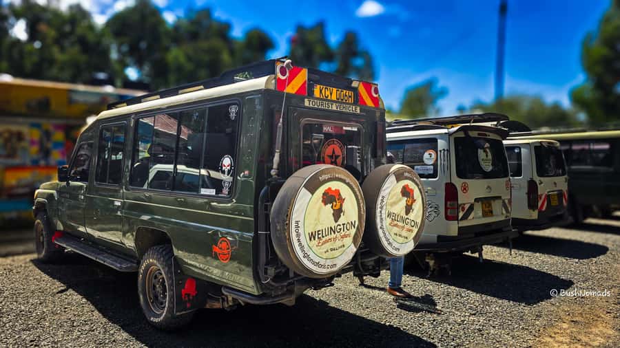 Nairobi National Park 5-hour Guided Game Drive Free Pick up - What the $37 price really means