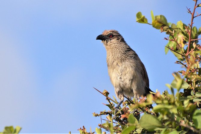 Nairobi National Park - Practical details before you book
