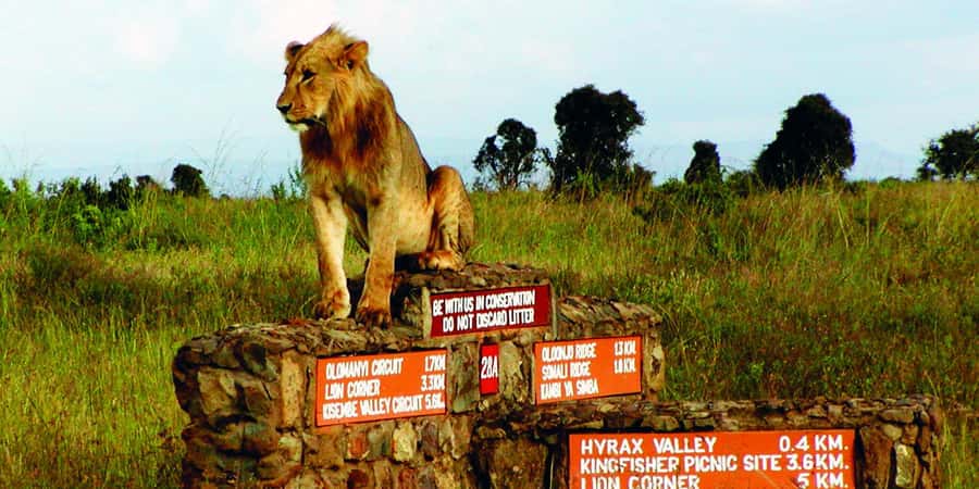 Nairobi National Park –Adventure at City’s Edge Free PickUp - What four hours inside the park can deliver