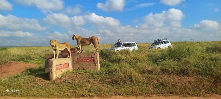 NAIROBI NATIONAL PARK AFTERNOON GAME DRIVE. - Who should book this drive?