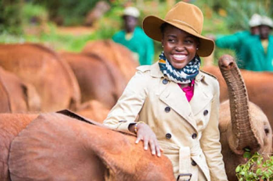 Nairobi national park and elephant orphanage - The David Sheldrick Wildlife Trust visit