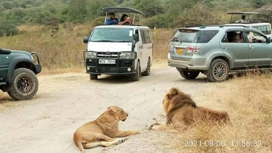 Nairobi national park and elephant orphanage - Why the city-and-wildlife setting works