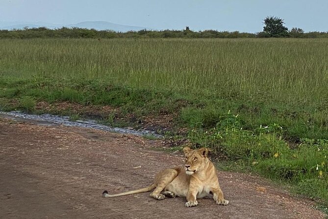 Nairobi national park and Giraffe center - A city safari with real wildlife stakes