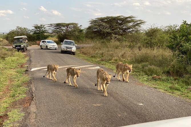 Nairobi national park and Giraffe center - Is $175 a fair price?