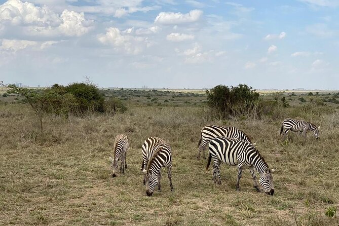 Nairobi national park and Giraffe center - Booking, timing, and cancellation details