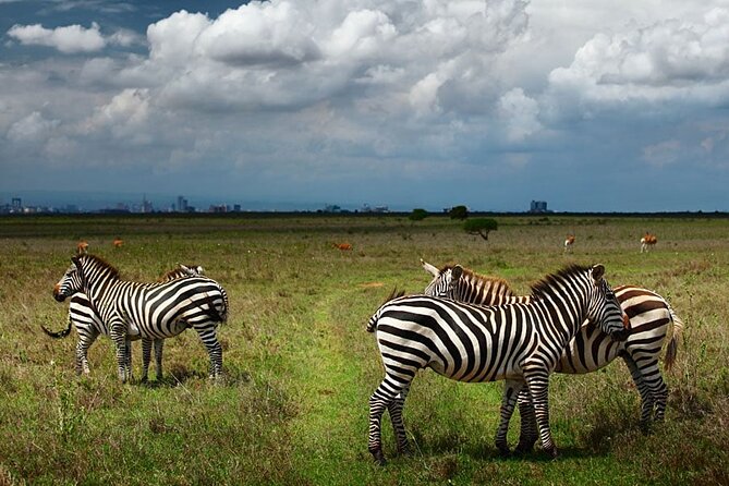 Nairobi National Park and Giraffe Center Day Tour - Key points to know