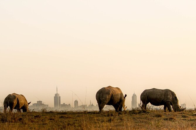 Nairobi National Park and Giraffe Center Day Tour - The Giraffe Centre and Rothschild giraffe conservation