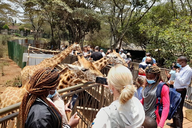 Nairobi: National park, baby Elephant, Giraffe center - Pickup and timing need firm confirmation