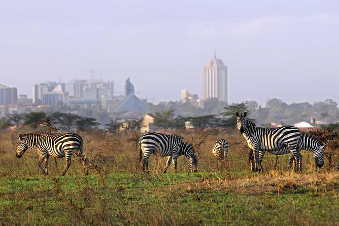 Nairobi National Park, Baby Elephant Orphanage and Giraffe Center - Who will enjoy this Nairobi outing most