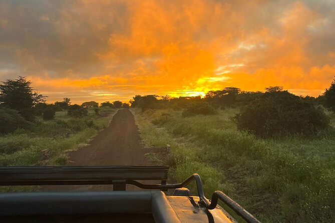 Nairobi National Park Daily Game drives. - Pickup, meeting points, and the Nairobi traffic problem