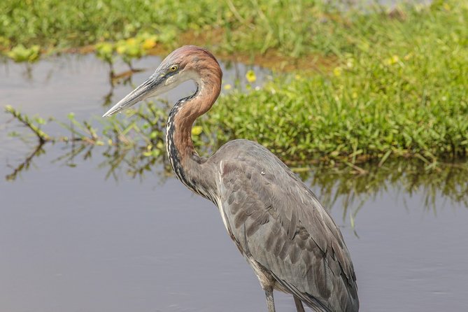 Nairobi National Park Day Tour - A real safari only minutes from Nairobi