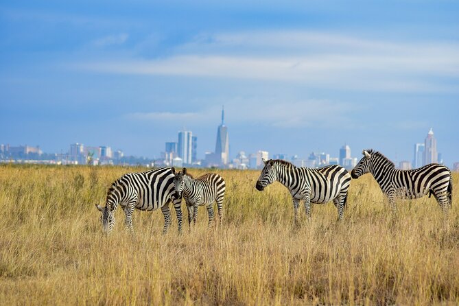 Nairobi: National Park Early Morning or Afternoon Game Drive - The four-hour game drive and its likely rewards