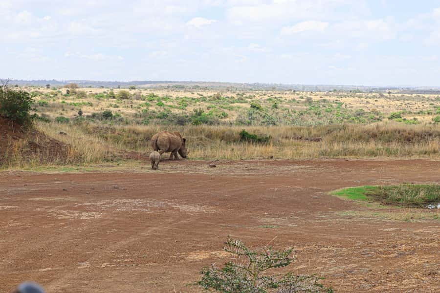 Nairobi National Park: & Elephant Orphanage 4X4 Jeep Tour - City views are part of the experience