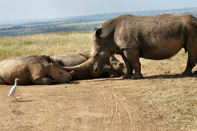 Nairobi National Park, Elephant Orphanage and Giraffe Center Tour - Utamaduni Craft Centre is a useful optional final stop
