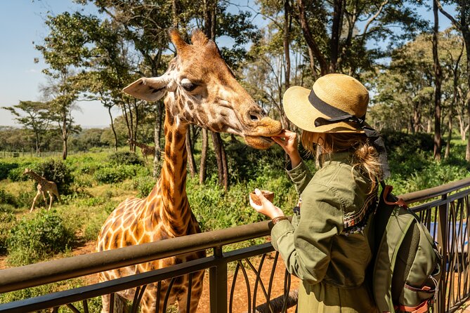 Nairobi National Park, Elephant Orphanage and Giraffe Centre - Key points worth knowing
