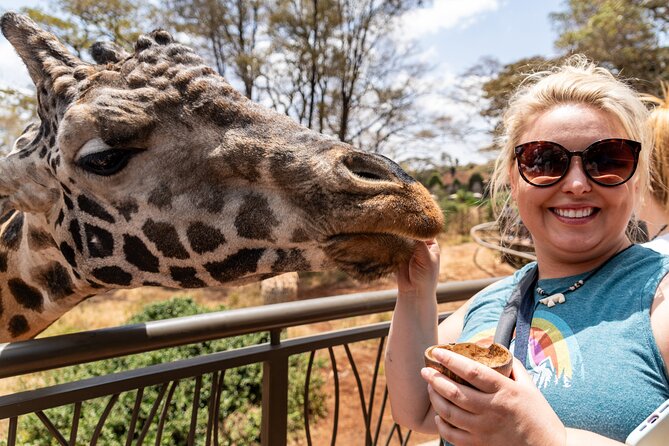Nairobi National Park, Elephant Orphanage and Giraffe Centre - Baby elephants at the David Sheldrick Wildlife Trust