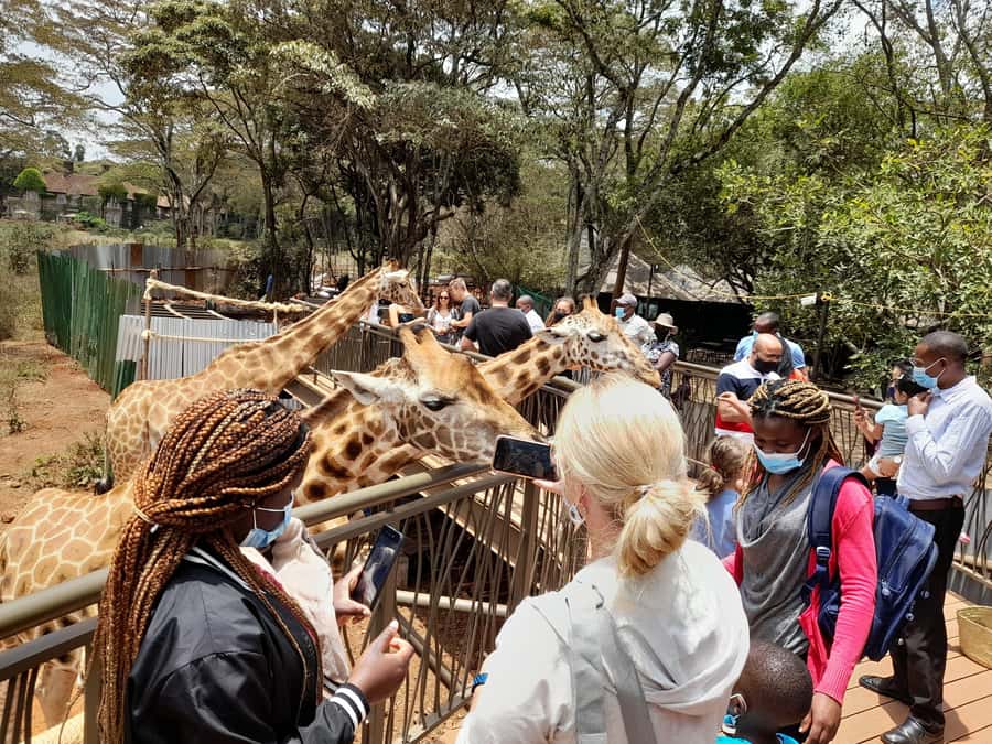 Nairobi: National Park, Elephant Orphanage, and Giraffe Tour - Nairobi National Park with the skyline in view