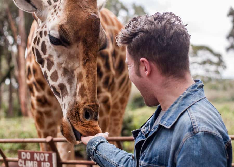 Nairobi: National Park, Elephant Orphanage, & Giraffe Centre - What Nairobi National Park adds