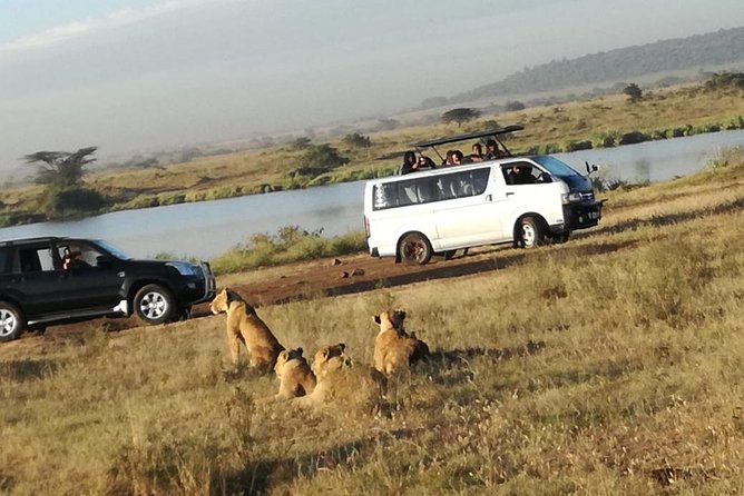 Nairobi National Park, Elephant Orphanage, Giraffe Centre Tour - The minivan, pickup, and group size