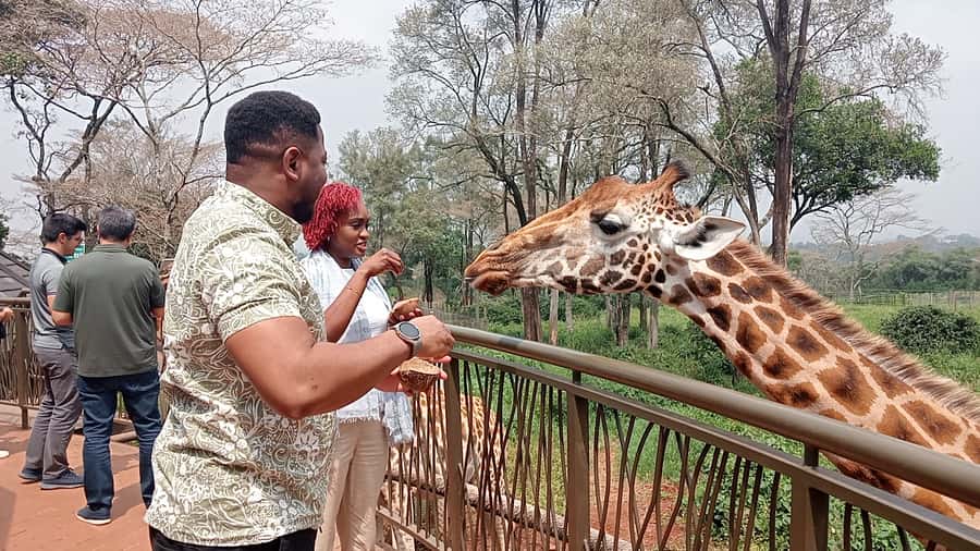 Nairobi: National Park, Elephant Orphanage, & Giraffe Centre - Karen Blixen’s former coffee farm