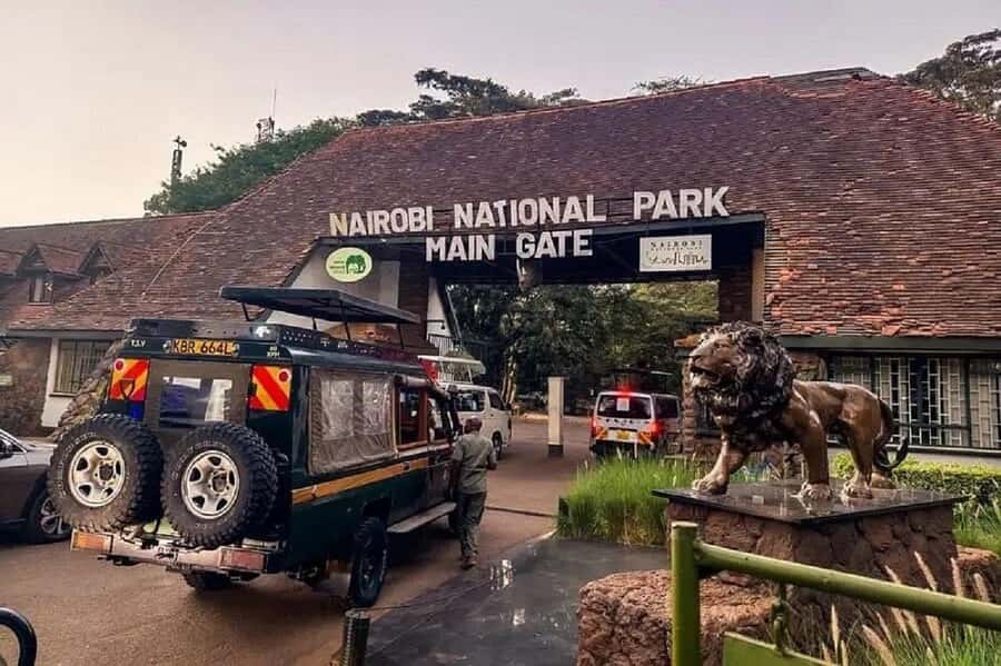 Nairobi: National Park, Elephant Orphanage & Giraffe Tour - Why this Nairobi day works so well