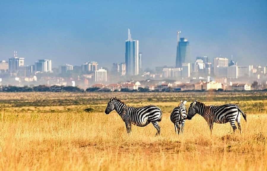 Nairobi: National Park, Elephant Orphanage & Giraffe Tour - Baby elephants at the David Sheldrick Wildlife Trust