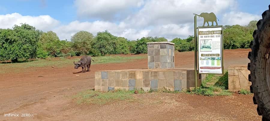 Nairobi; National Park, Elephant Sanctuary & Giraffe Center. - Guide quality and a useful ticket warning