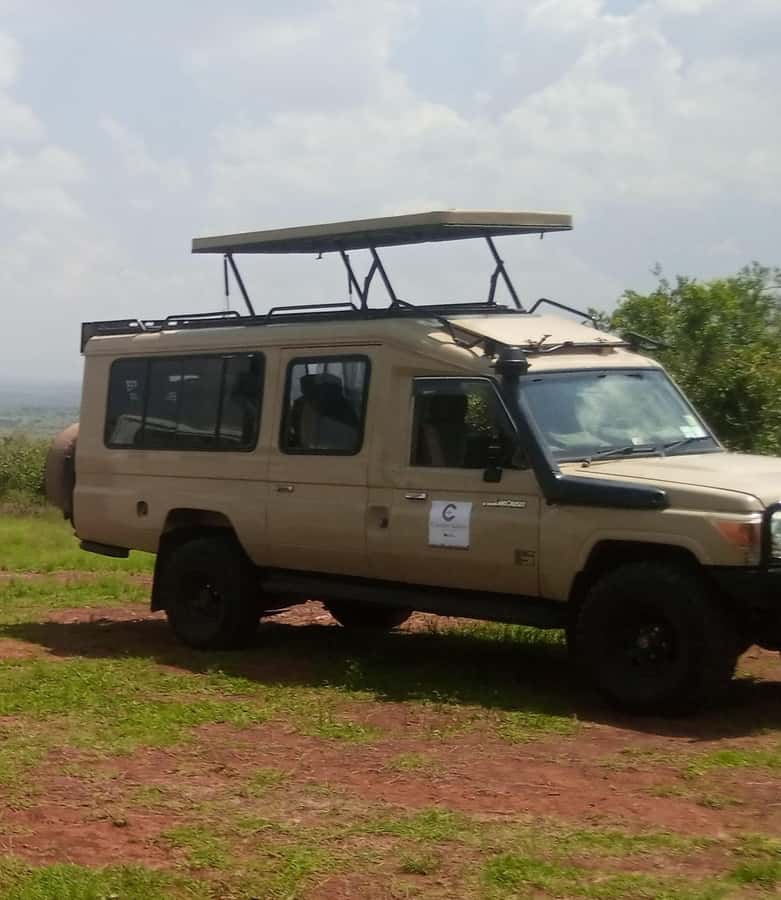 Nairobi National Park Full-Day Tour: Private 4WD with Guide - The Sheldrick Wildlife Trust elephant visit