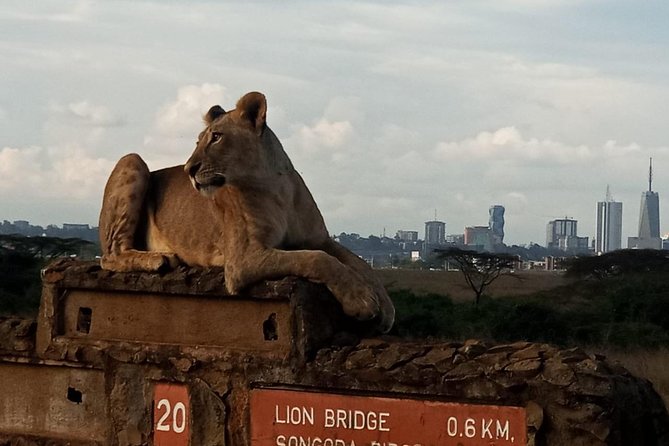 Nairobi National Park Game Drive With Free Pick Up Group Joining - The David Sheldrick Wildlife Trust elephant nursery