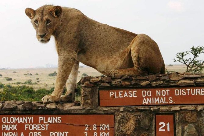 Nairobi National Park, Giraffe Center and Elephant Orphanage Day Tour from Nairobi - Why this Nairobi day makes sense