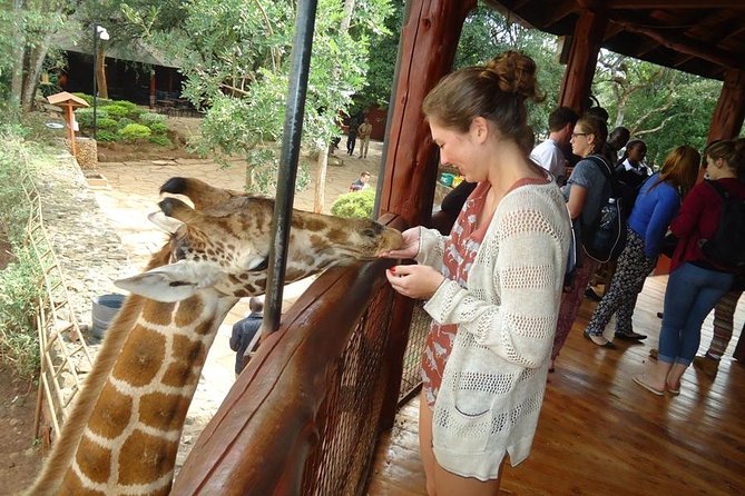 Nairobi National Park, Giraffe Center and Elephant Orphanage Day Tour from Nairobi - Three hours among animals at Nairobi National Park