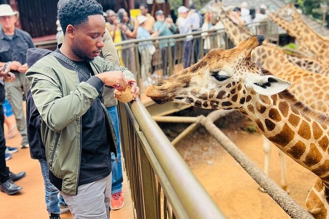 Nairobi National Park Giraffe Center Carnivore Lunch - Key points to know before booking