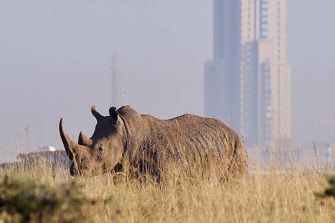Nairobi National Park Giraffe Center Carnivore Lunch - Practical ways to get more from the day
