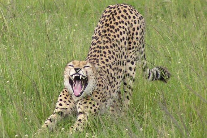 Nairobi National Park, Giraffe Center & Karen Blixen Museum - The real cost: $85.35 before admission