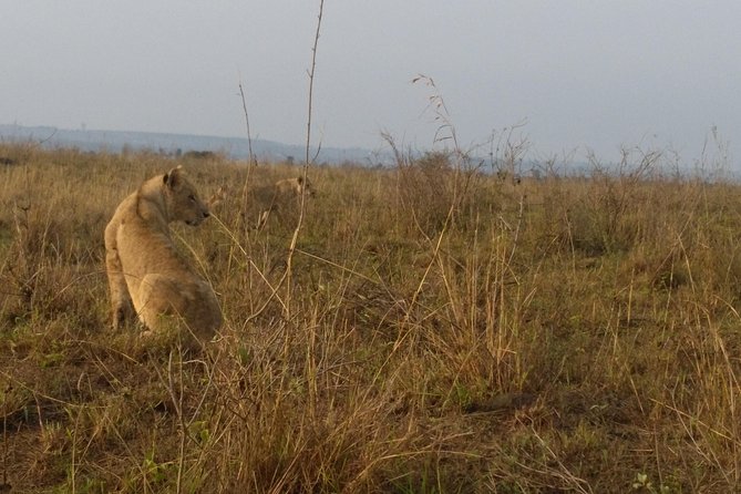 Nairobi National Park, Giraffe Center & Karen Blixen Museum - Booking details worth checking before departure